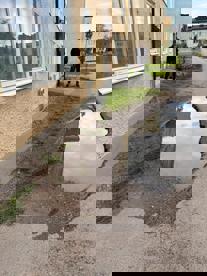 En sönderkörd rabatt